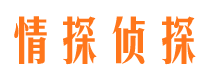 新河外遇调查取证